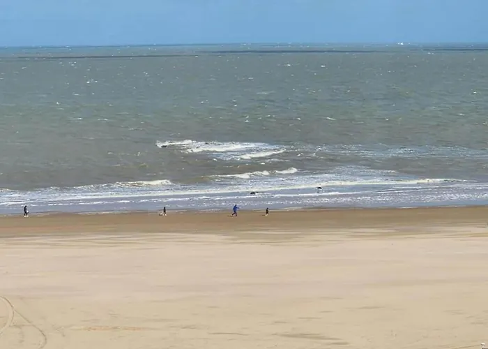 Centre For 6 Apartment Knokke-Heist