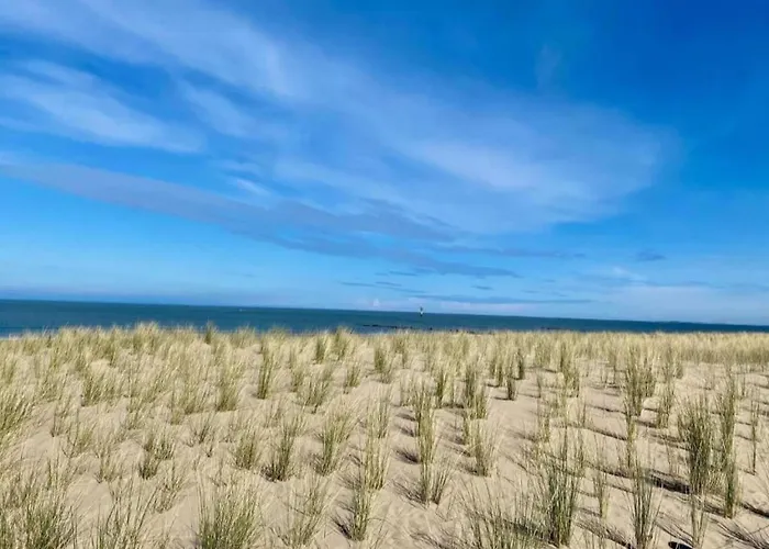 Appartement Centre For 6 *